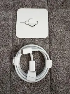 【新品未使用】　Apple Lightningケーブル SIMピン付き