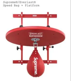 Item thumbnail for item 9b6859fa-eca1-47d2-a5c2-fdf072236610