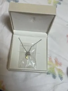 Item thumbnail for item 34c5d929-831a-494f-b8ca-28d1251ccb2d