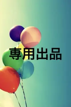 専用出品
