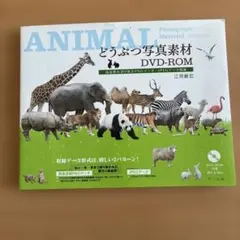 Item thumbnail for item eb1fbad8-c9ab-4e2c-8bba-b3168cb823c0