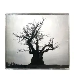 SEKAI NO OWARI 2010-2019