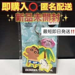新品未開封‼️ 沖縄限定 クレヨンしんちゃん 日焼け ビーチ キーホルダー