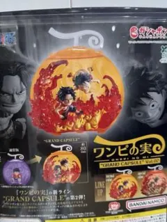 ワンピース GRAND CAPSULE VOL.2 2個セット
