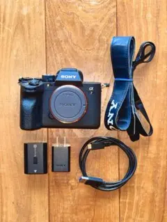 2026年最新】SONY a7iv ボディの人気アイテム - メルカリ
