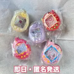 新品 たまごっちシャカシャカチャームコレクション3 ガチャ セミコンプリート