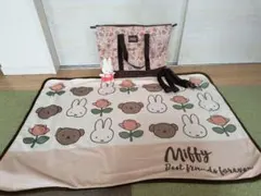 Item thumbnail for item ed7449ca-742e-43e0-8fb7-bc95ac594095