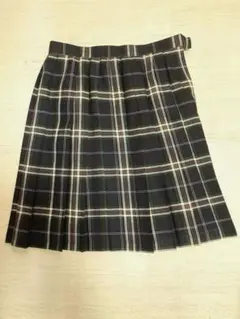 プリーツスカート 学生服