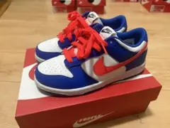 NIKE DUNK LOW PS 21cm