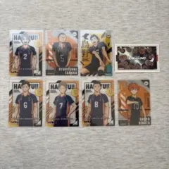 ハイキュー！！ 烏野高校 クリアカード