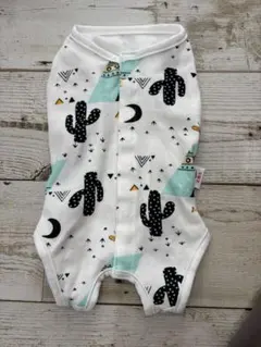 Item thumbnail for item b5c0714e-d5fb-4754-92d5-41565effae30