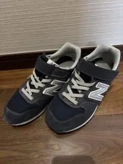 Item thumbnail for item dbb109f5-a6bd-4b1c-ba06-fc86f0e1891d