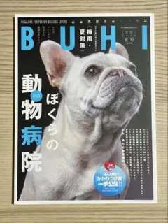 BUHI ぼくたちの動物病院