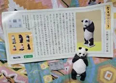 今日は何キロ?(パンダ)　ガチャガチャ