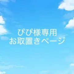 ぴぴ様専用お取置ページ5/16