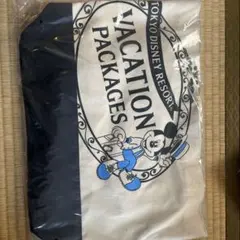 東京ディズニーリゾート バケーションパッケージバッグ