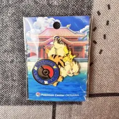 2026年最新】ポケモン ピンズ -沖縄 -ポケモンセンター沖縄の人気
