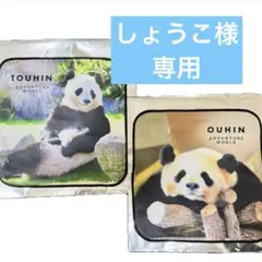 【しょうこ様専用】アドベンチャーワールド桜浜ミニタオル