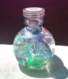 熱帯魚ハーバリウム 2個セット ブルー＆ピンク - メルカリ