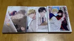 深夜残業 Vol.3 チャラ系後輩の片恋研修 CV 冬ノ熊肉 - メルカリ