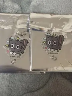 txt つながるアクリルチャーム ダゴニャン