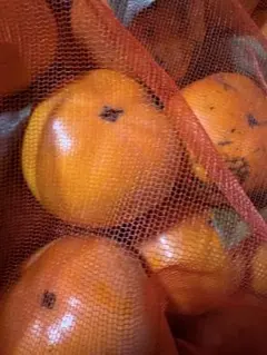 ちゃこ様専用ページです。お申し込みされて無い方のお買い上げはご遠慮願います。