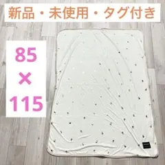 Item thumbnail for item e0062885-a171-4bc9-9932-7d02de312237