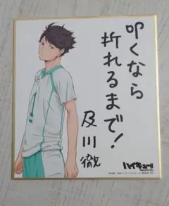 ハイキュー!! ビジュアル色紙コレクション 及川徹