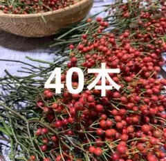 Y..様 リクエスト 2点 まとめ商品