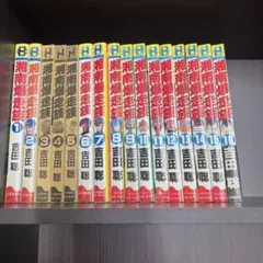 湘南爆走族 完全版 13冊セット 13巻抜け 最終値下 - メルカリ