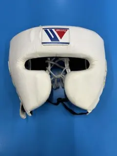 Item thumbnail for item 74f135f8-c382-43e2-9aba-8f7d7e64a12b