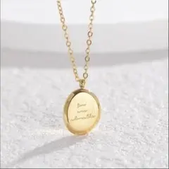 ネックレス コイン スネークチェーン ゴールド サージカルステンレス オシャレ