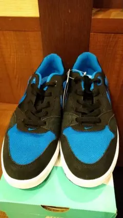 Nike SB アリウープ