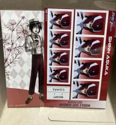 ガンダムSEED FREEDOM　シン