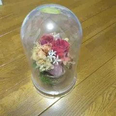 日比谷花壇 プリザーブドフラワー ガラスドーム - メルカリ