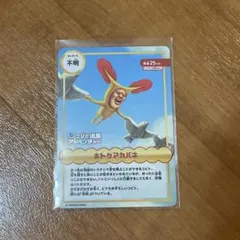 こびとづかん ホトケアカバネ カード