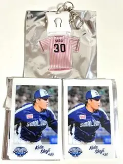 東京ヤクルトスワローズ チェキ風カード #30 荘司宏太選手　スワポン