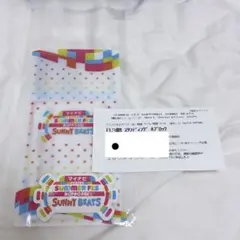サマフェス 半券 東京ジュニア 塗りつぶしなし