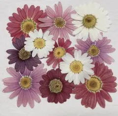 さちべー様 リクエスト 2点 まとめ商品