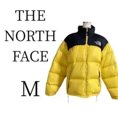 Item thumbnail for item 3adcf415-39b2-4db3-ba59-6f148d05ab51