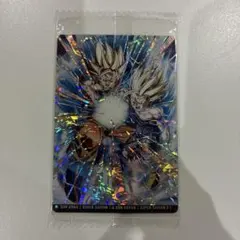 RIN様 専用ページ