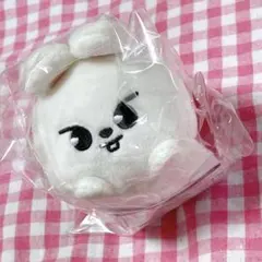 【新品未開封】Stray Kids リノ　ツムツム　ぬいぐるみ
