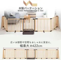 Item thumbnail for item 7399bf4a-7743-4254-ab8a-1480d8d712ad