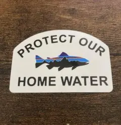 パタゴニア フィッツロイトラウト ステッカー33