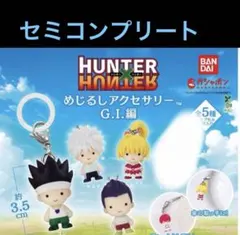 HUNTER×HUNTER めじるしアクセサリー G.I.編 セミコンプ - メルカリ
