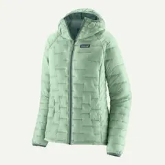 Patagonia ダウンジャケット ライトグリーンのサムネイル