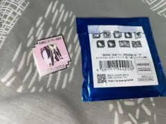 劇場版 鬼滅の刃 無限城編 第一章 キャラクターモチーフピンズ　胡蝶カナエ