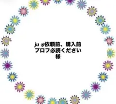 ju ※依頼前、購入前プロフ必読ください様