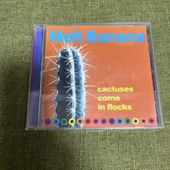 Melt-Banana cactuses come in flocks