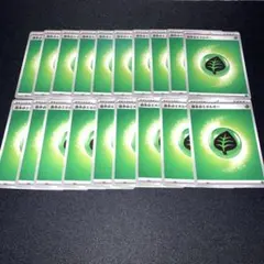 スタートデッキ100 基本エネルギー 草 悪　くさ あく 19枚セット！